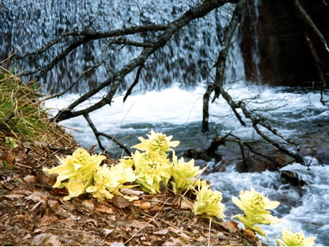 家電故障！レンタルする？購入する？解決方法とは？