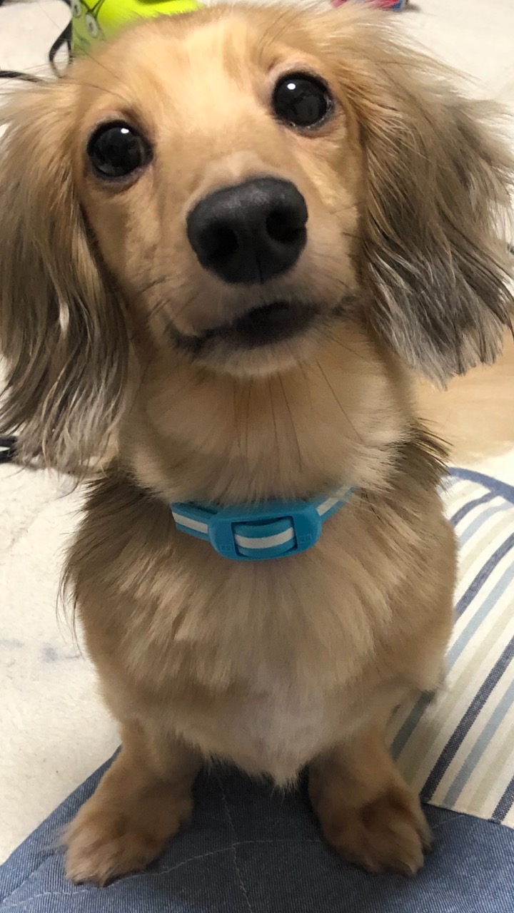 キャッシングの申込がしたい・・・北海道・札幌市・旭川市・苫小牧市・土浦市　