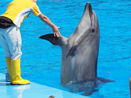 「かわいい動物・・・パート②」