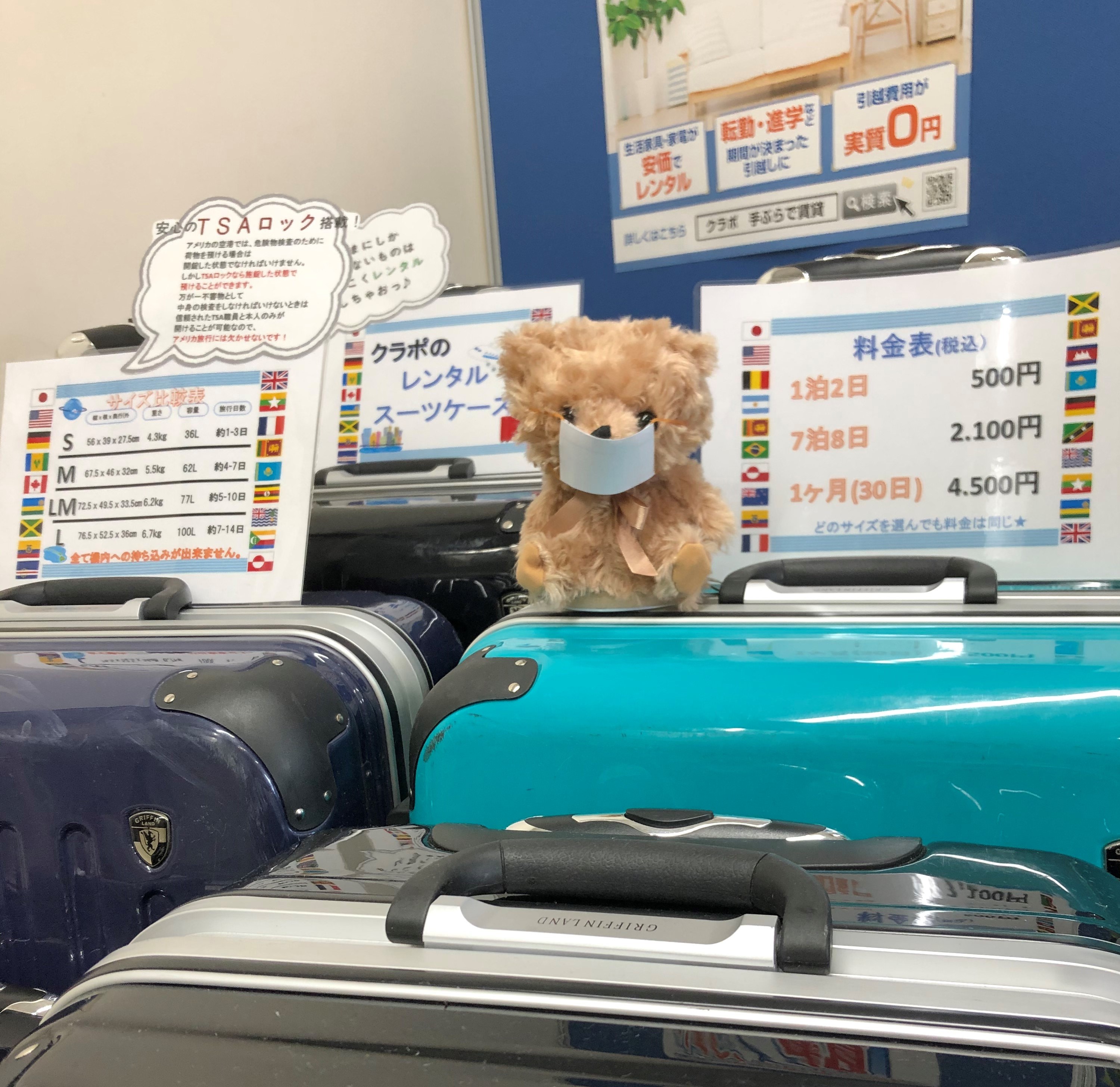 スーツケース化マスク熊